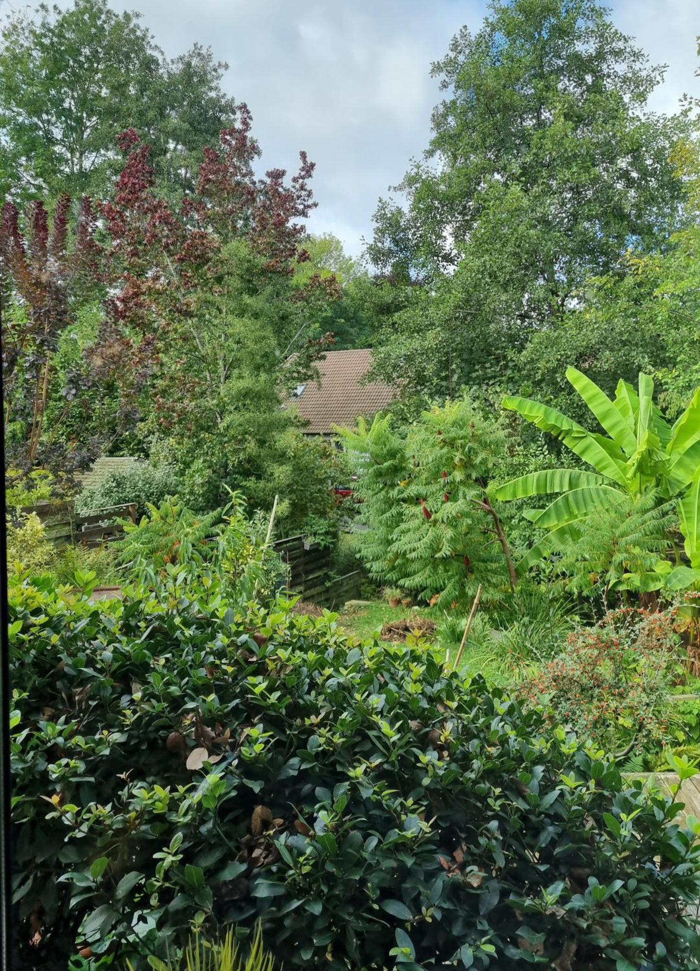 Belle Maison D'Art Verdoyante & Jardin Saint-Rémy-lès-Chevreuse Extérieur photo