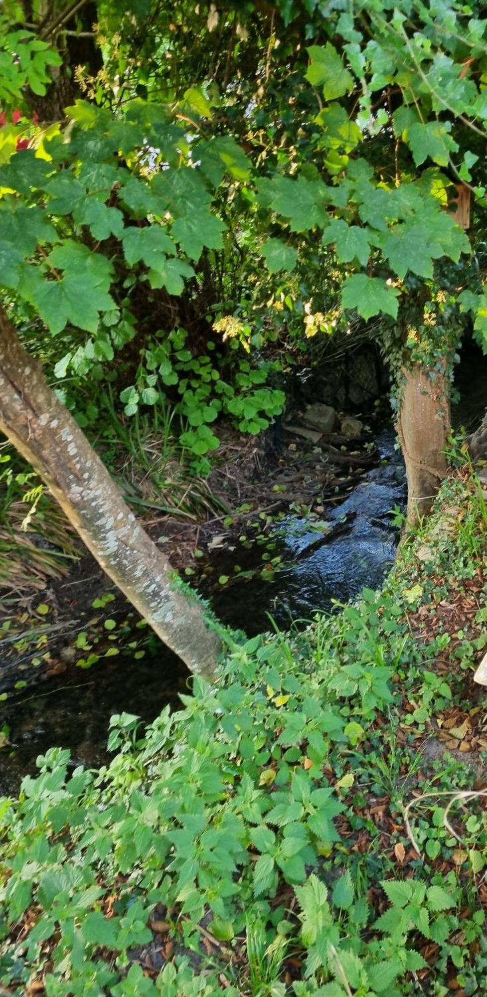 Belle Maison D'Art Verdoyante & Jardin Saint-Rémy-lès-Chevreuse Extérieur photo
